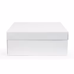 PME CBO800 cake storage container Square White