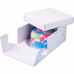 PME BCR870 cake storage container Square Carton White