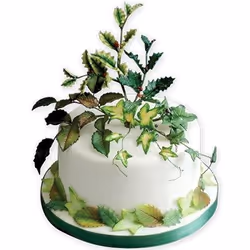 PME HLL662 White