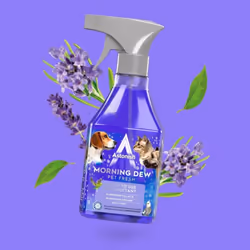 Astonish Morning Dew Ready To Use Disinfectant Spray 550ml