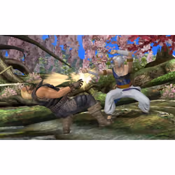 Tecmo Koei Dead or Alive 3D Dimensions, Nintendo 3DS English