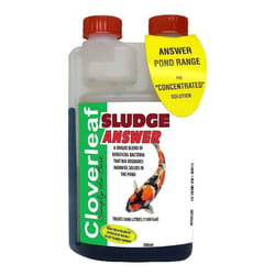 Cloverleaf SA500/6 Sludge Answer, Clear, 500 ml