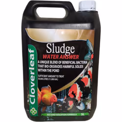 Cloverleaf Sludge Answer 5L