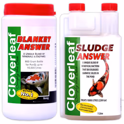 Cloverleaf Blanket & Sludge Answer Blanketweed Pond Weed Water Treatment Bundle - Blanket Answer 800g & Sludge Answer 1L