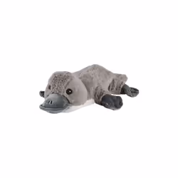 Warmies Heatable Microwavable Platypus Soft Toy Wheat Filled & Lavender Scented