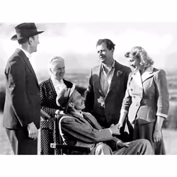 Odeon Tawny Pipit DVD English