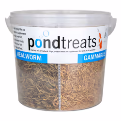 Evolution Aqua Pond Treats 1kg Mixed Natural Dried Pond Food Treats