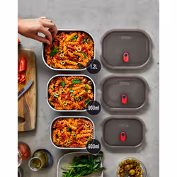 black+blum FBSS-BX-S017-EN food storage container Rectangular Box 0.6 L Stainless steel 5 pc(s)
