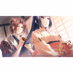 Winters Wish - Spirits of Edo Switch Game
