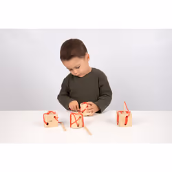 Tickit Wooden Lacing Shapes