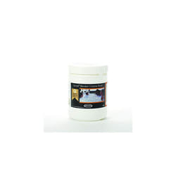 Jacuzzi Chlorine Shock 500g