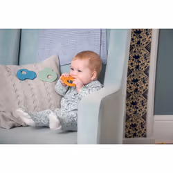 Tickit 54573 teether