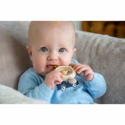 Tickit 54575 teether