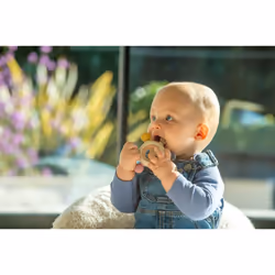 Tickit 54575 teether