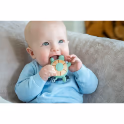 Tickit 54583 teether