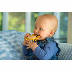Tickit 54587 teether