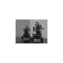 Racing Grannies
