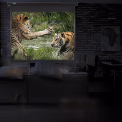 Duronic Projector Screen MPS60/43 Manual Pull Down HD Projection Screen For | School | Theatre | Cinema | Home Projector Screen - 60" (Screen: