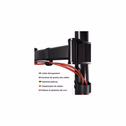 Duronic Dual Monitor Arm Stand DM252 | Double PC Desk Mount | Steel | Height Adjustable | For Two 13-27 Inch LED LCD Screens | VESA 75/100