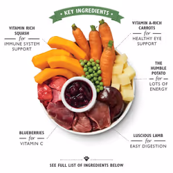 Lily's Kitchen Lamb Hotpot Adult 400 g