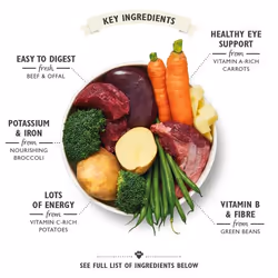 Lily's Kitchen Cottage Pie Beef, Carrot, Potato 400 g