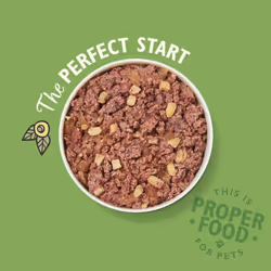 Lily's Kitchen Adult Great British Breakfast Complete Wet Dog Food (10 x 150 g)