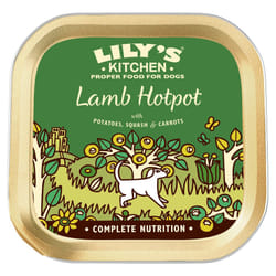 Lily's Kitchen Adult Lamb Hotpot Complete Wet Dog Food (10 x 150 g)