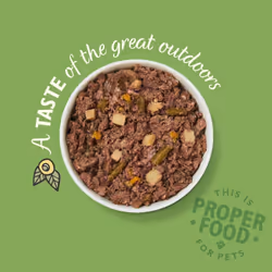 Lily's Kitchen Adult Wild Campfire Stew Complete Wet Dog Food (10 x 150 g)