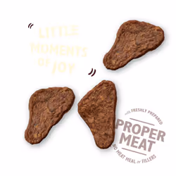 Lily's Kitchen The Mighty Duck Mini Jerky Dog Treat 70 g