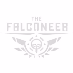 Wired Productions The Falconeer - Day One, Xbox One, T (Teen), Physical media