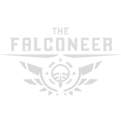 Wired Productions The Falconeer - Day One
