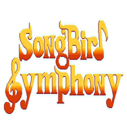 PQube Songbird symphony Standard Nintendo Switch
