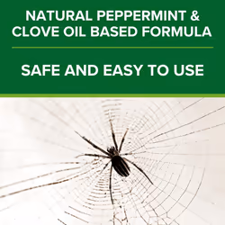 Natural Spider Stopper 500ml Spray | Long Lasting up to 12 Weeks | Established British Repellent Formula | Use on Any Surface - Will not Stain | No