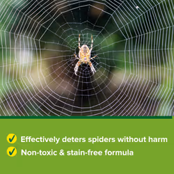 Natural Spider Stopper 500ml Spray | Long Lasting up to 12 Weeks | Established British Repellent Formula | Use on Any Surface - Will not Stain | No