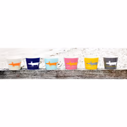 Scion Mr Fox Mug, 0.35L - Charcoal & Lime