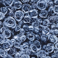 Muriva Rosalee Blue Wallpaper 158504