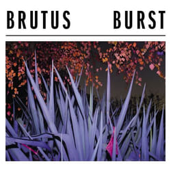 ImportCDs Burst CD Heavy Metal