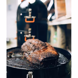 ProQ Excel Steel Charcoal (fuel)