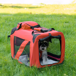 PawHut 60cm Foldable Pet Carrier, Soft Side Pet Travel Crate w/ Mat, Red