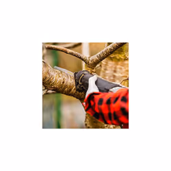 RPR10MXC Saxton 10 Blade Reciprocating Sabre Saw Combo Wood fits Bosch, Dewalt Makita Pack C