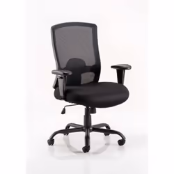 Robust frame. large seat and back make this chair suitable for heavy duty use. Generously proportioned seating dimensions wil ...