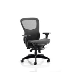 Dynamic PO000021 office/computer chair Mesh seat Mesh backrest