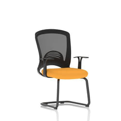 Dynamic Astro Mesh Back Visitor Cantilever Leg Bespoke Fabric Seat Sen