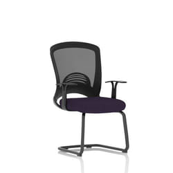 Dynamic Astro Mesh Back Visitor Cantilever Leg Bespoke Fabric Seat Tan
