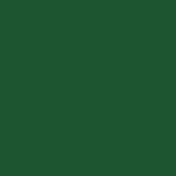PME Paste Colour Pea Green 25 g Paste (substance) Artificial food coloring