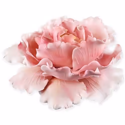 PME Peony White