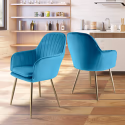 Genesis Muse Accent Dining Chairs Velvet Fabric - Set of 2 - Teal