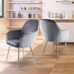 Genesis Muse Accent Dining Chairs Velvet Fabric - Set of 2 - Grey