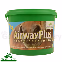 Global Herbs AirwaysPLUS Powder - 1kg