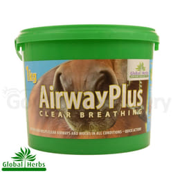 Global Herbs AirwaysPLUS Powder - 1kg